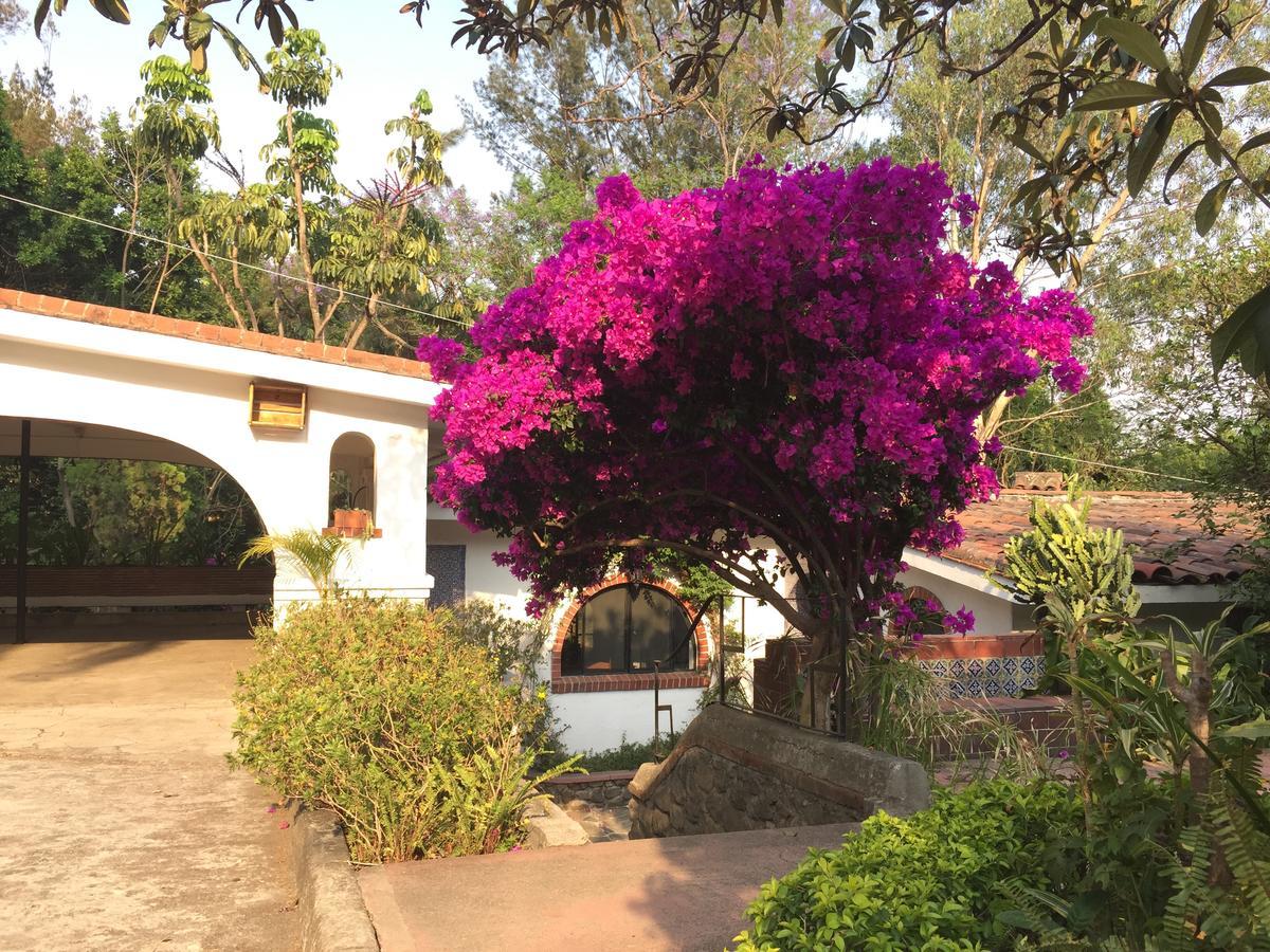Villas Bellavista クエルナバカ エクステリア 写真