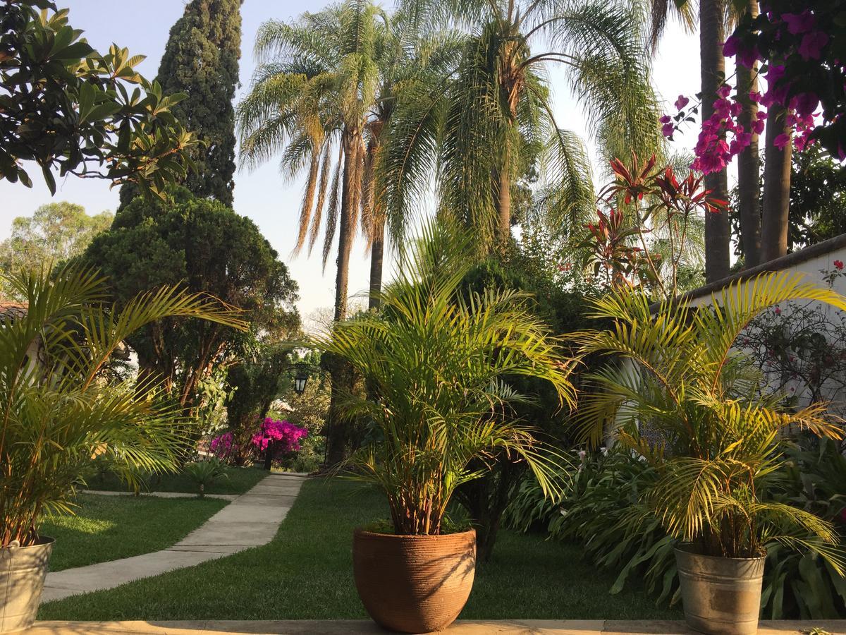 Villas Bellavista クエルナバカ エクステリア 写真